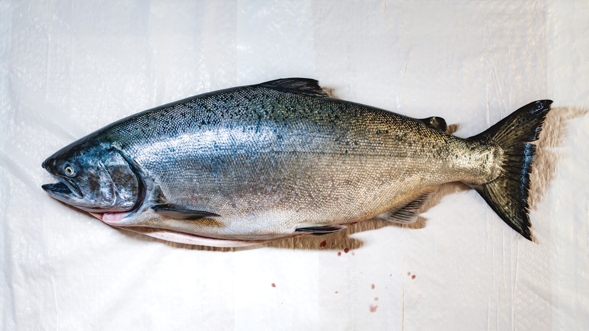 Pesce e ingredienti freschi